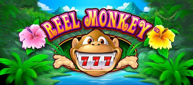 ssbet77 casino